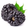Blackberry Puree No Added Sugar - Image 3