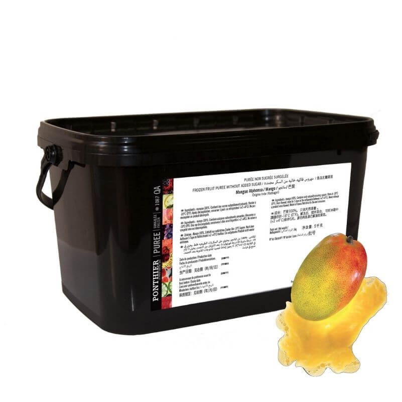 FR1087_PONTHIER-FrozenPuree-5kg-Mangue_Gastronomia_5kg