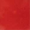 FR2663_purée fraise_5kg_texture_web